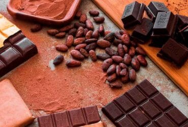 benefícios-e-perigos-do-chocolate
