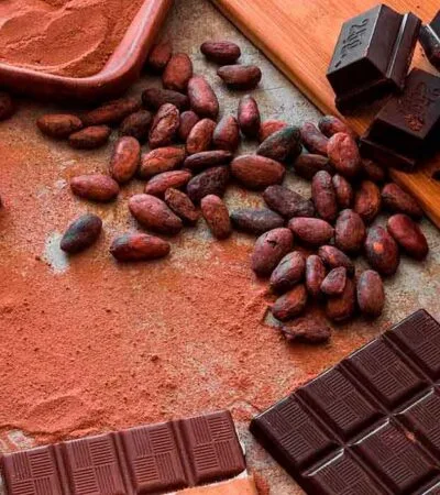 benefícios-e-perigos-do-chocolate