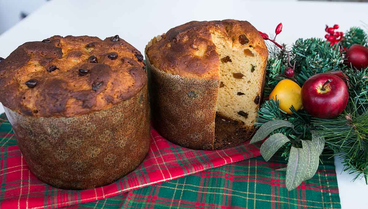 Panetone Sem Glúten e Sem Lactose