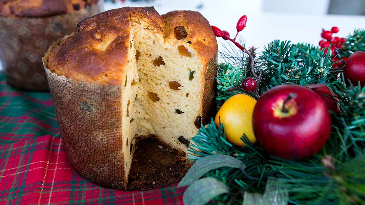 Panetone Sem Glúten e Sem Lactose