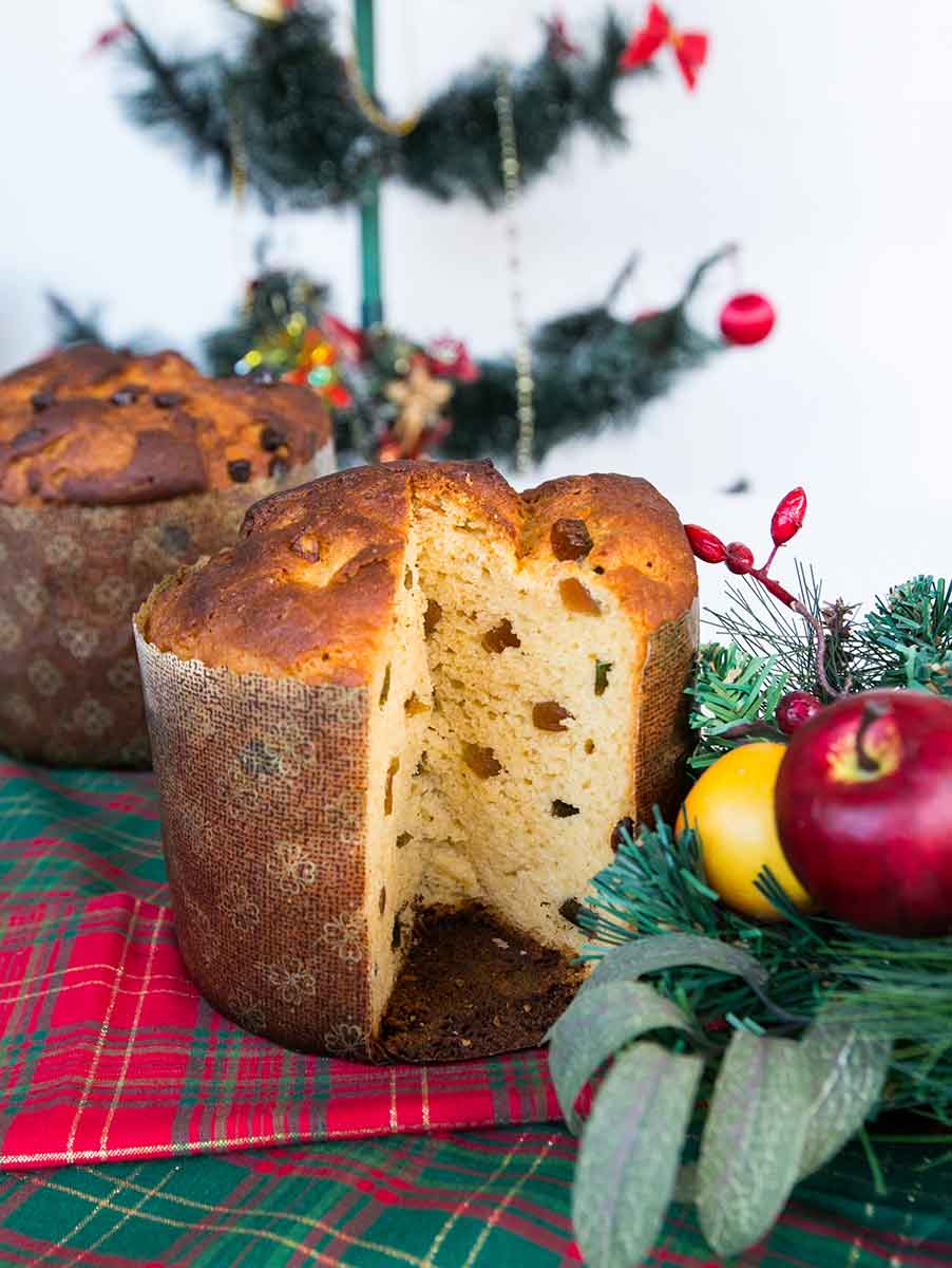 Panetone Sem Glúten e Sem Lactose